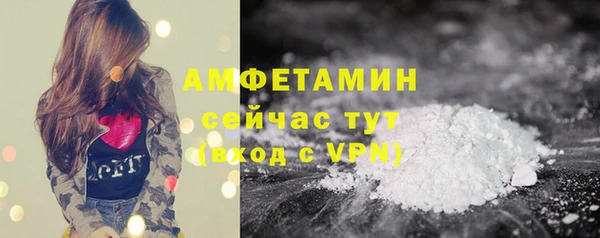 spice Верея
