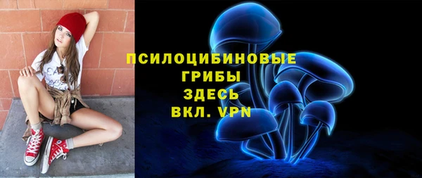 spice Верея